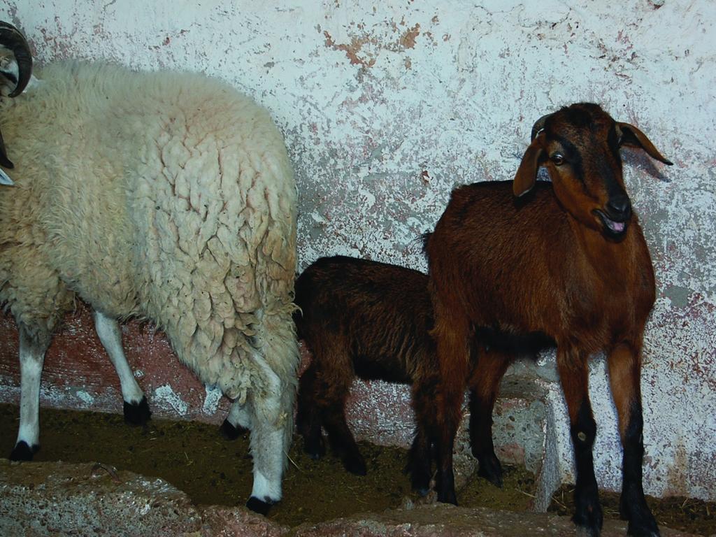 Gite Souss Oulad Teima Bagian luar foto